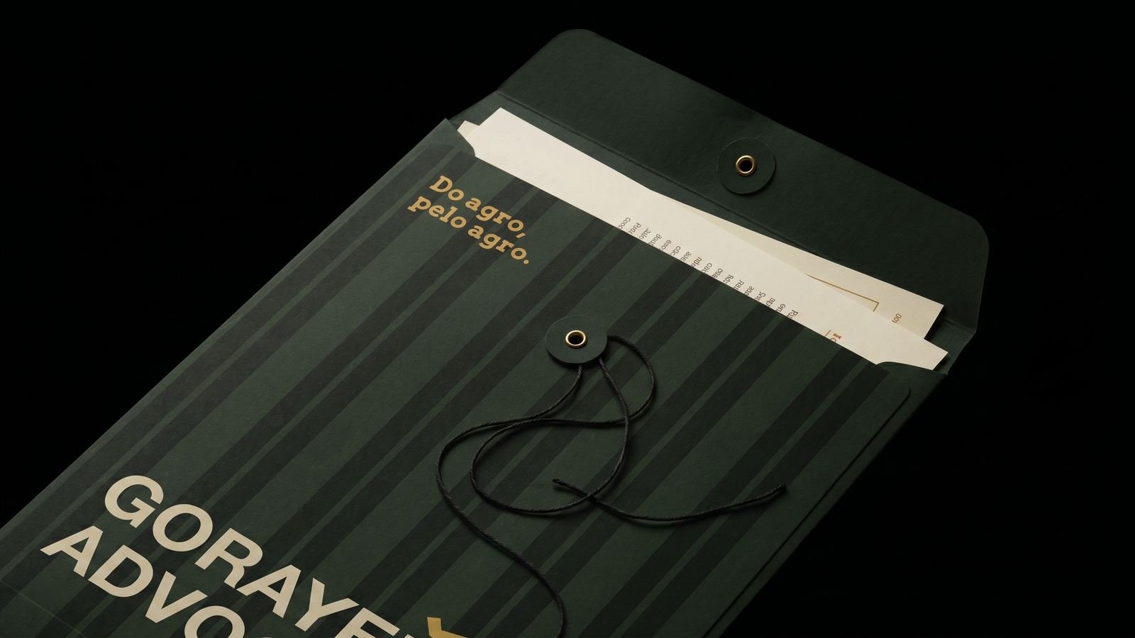 Envelope aberto com documentos